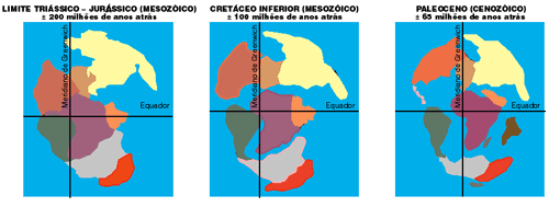 Era Mesozóica e Cenozóica